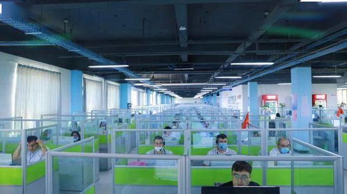 金山骄傲 工业互联网数据服务领域集体与个人获市级表彰