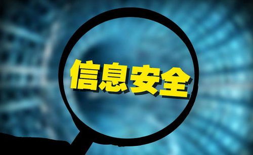 工业互联网数据服务 接力科技领涨大旗，业绩高增概念股出炉